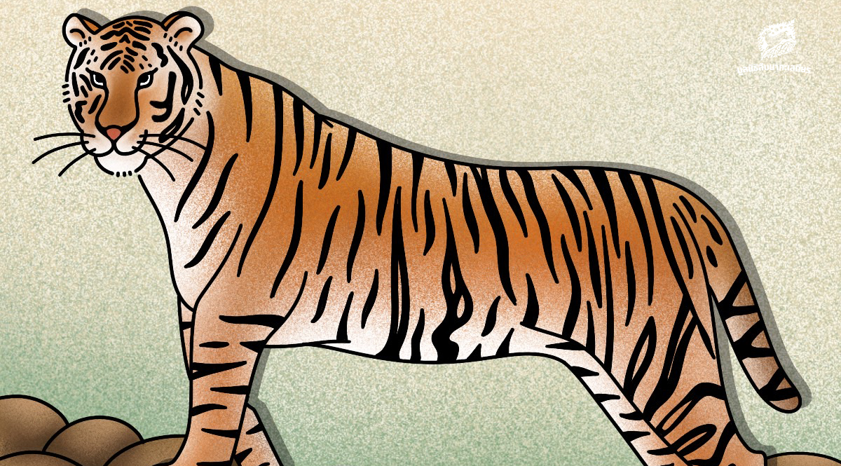 29 กรกฎาคมของทุกปี เป็นวันอนุรักษ์เสือโคร่งโลก (Global Tiger Day)