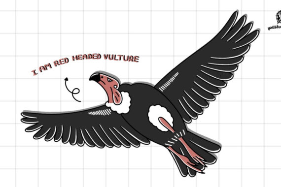 วันให้ความรู้แร้งสากล (International Vulture Awareness Day) และ 10 เรื่องน่ารู้เกี่ยวกับแร้ง 