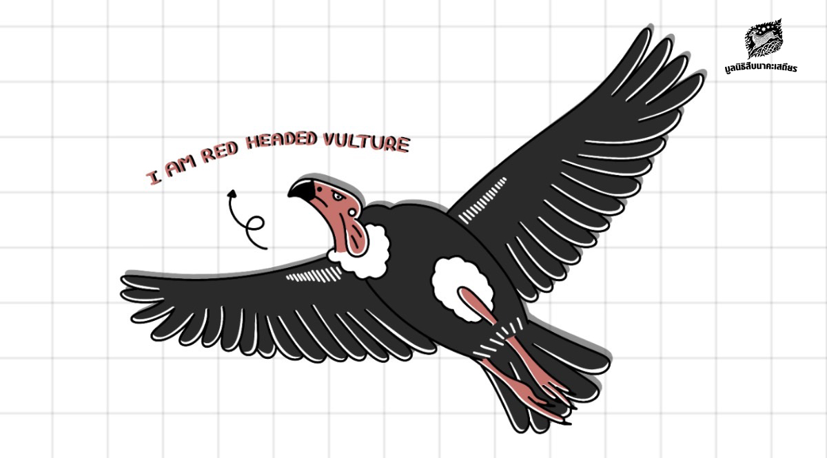 วันให้ความรู้แร้งสากล (International Vulture Awareness Day) และ 10 เรื่องน่ารู้เกี่ยวกับแร้ง 