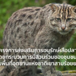 โครงการส่งเสริมการอนุรักษ์เสือปลา โดยกระบวนการมีส่วนร่วมของชุมชน
