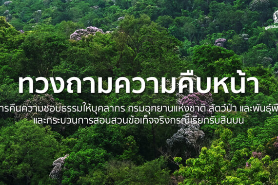 ทวงถามความคืบหน้าการคืนความชอบธรรมให้บุคลากร กรมอุทยานแห่งชาติ สัตว์ป่า และพันธุ์พืช