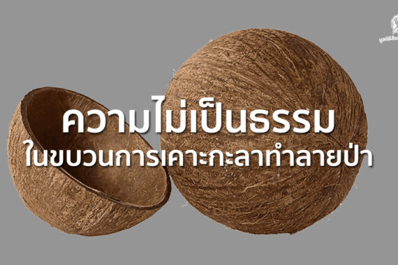 ความไม่เป็นธรรมในขบวนการเคาะกะลาทำลายป่า – ทำไมถึงเรียกร้องให้ คืนความชอบธรรม