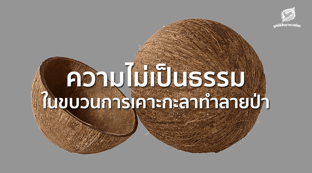 ความไม่เป็นธรรมในขบวนการเคาะกะลาทำลายป่า – ทำไมถึงเรียกร้องให้ คืนความชอบธรรม