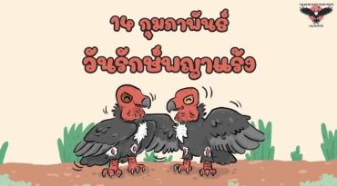 วันรักษ์พญาแร้ง