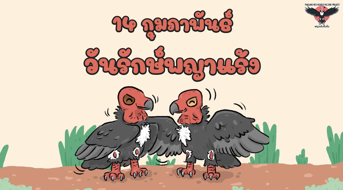 ประมวลภาพกิจกรรม วันรักษ์พญาแร้ง 