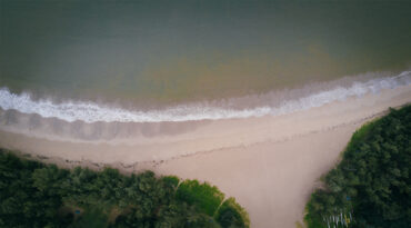 ป่าชายหาด