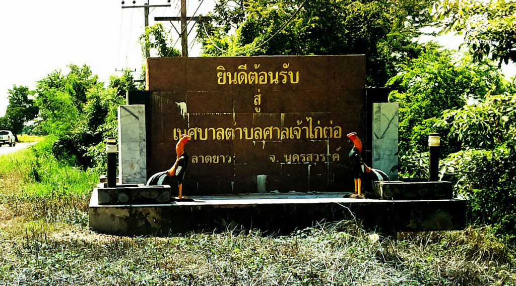 ตอนที่ 9 กินป่าหรือกินข้าว