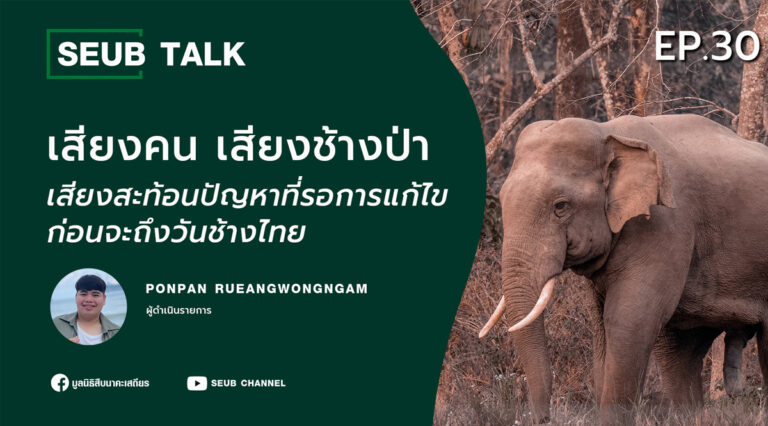 เสียงคน เสียงช้างป่า เสียงสะท้อนปัญหาที่รอการแก้ไข ก่อนจะถึงวันช้างไทย l SEUB TALK EP.30