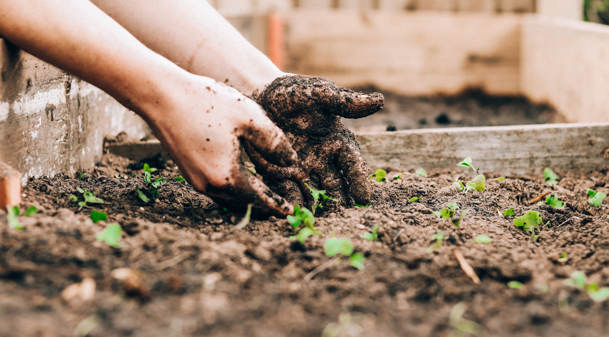 รู้จัก Human Composting ตายแล้วเป็นปุ๋ย ทางเลือกใหม่ของการจัดการศพอย่างยั่งยืน 