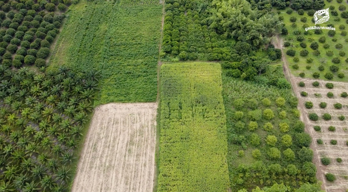 เกร็ดความรู้ 10 ข้อ โครงการเชื่อมป่าฯ อุทยานแห่งชาติคลองวังเจ้า และเขตรักษาพันธุ์สัตว์ป่าเขาสนามเพรียง