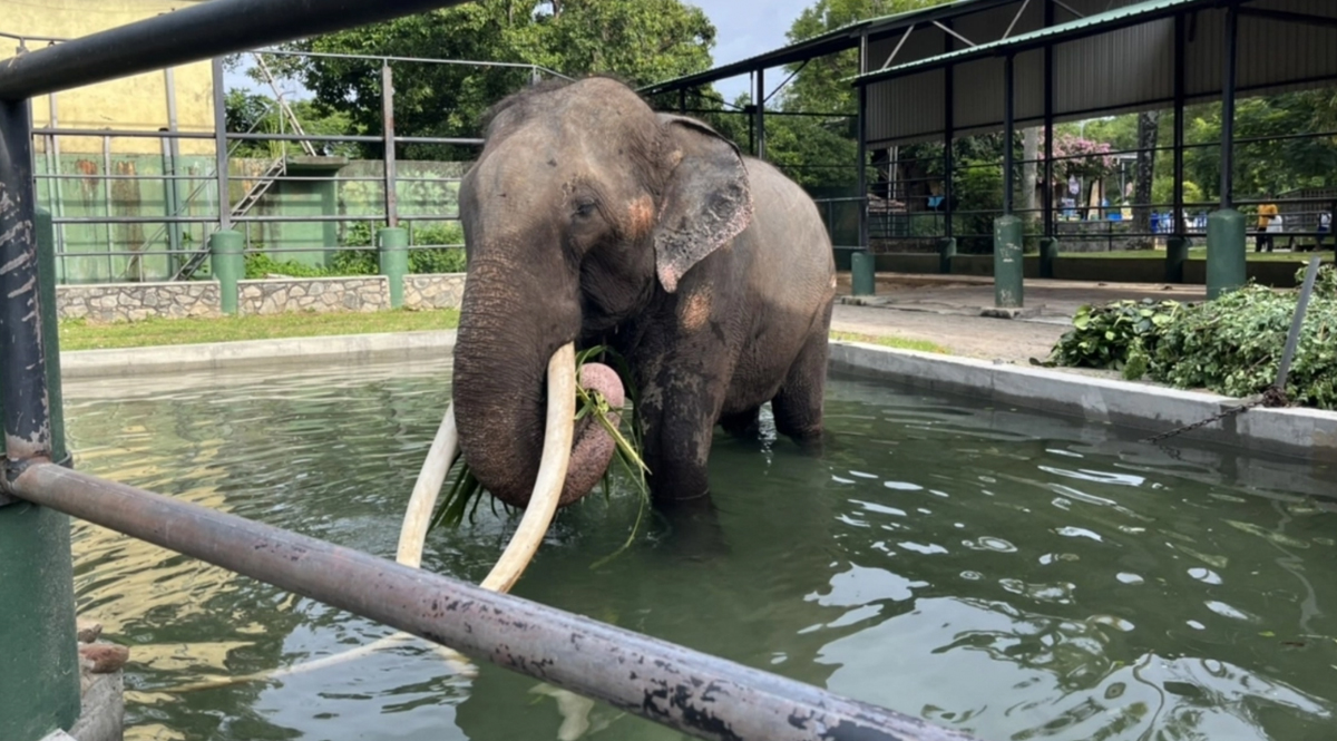 ‘พลายศักดิ์สุรินทร์’ เมื่อทูตสันถวไมตรีถูกทารุณ ใครจะเป็นผู้รับผิดชอบ!?  