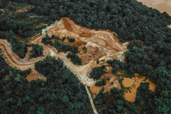 เรื่องน่ายินดีของโลก… การตัดไม้ในป่าแอมะซอนกำลังลดลง ปอดของโลกกำลังจะกลับมาสมบูรณ์อีกครั้ง 