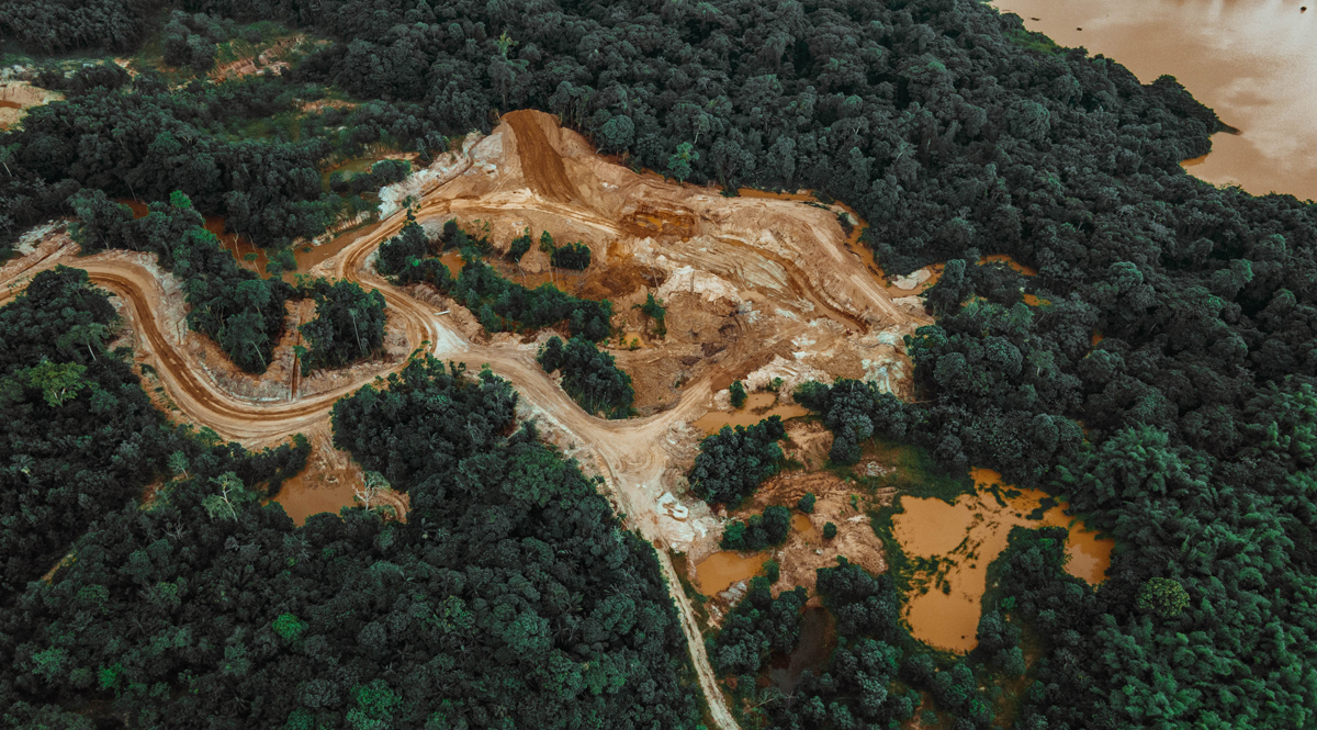 เรื่องน่ายินดีของโลก… การตัดไม้ในป่าแอมะซอนกำลังลดลง ปอดของโลกกำลังจะกลับมาสมบูรณ์อีกครั้ง 