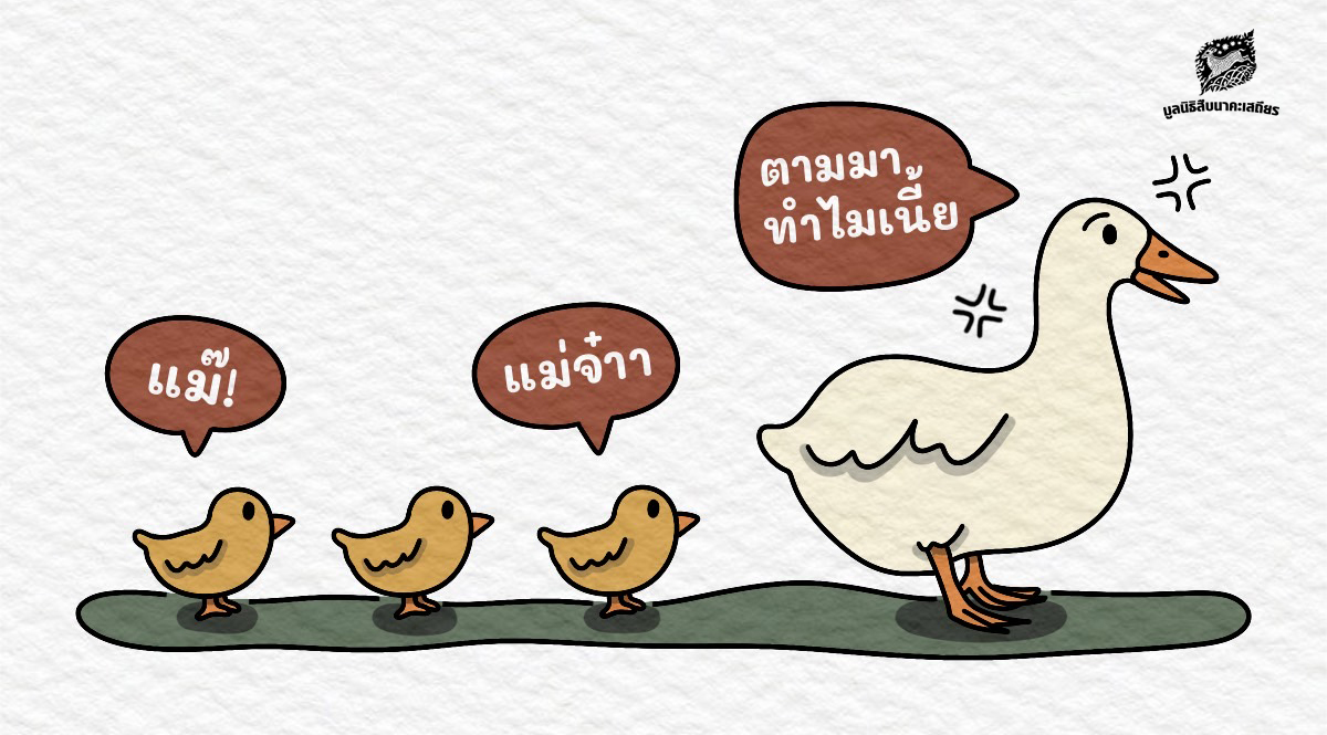 จะเกิดอะไรขึ้น? หาก ‘ลูกไก่’ คิดว่า ‘แม่เป็ด’ เป็นแม่ที่แท้จริงของมัน