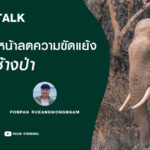 ความคืบหน้าลดความขัดแย้ง คนกับช้างป่า l SEUB TALK EP.33