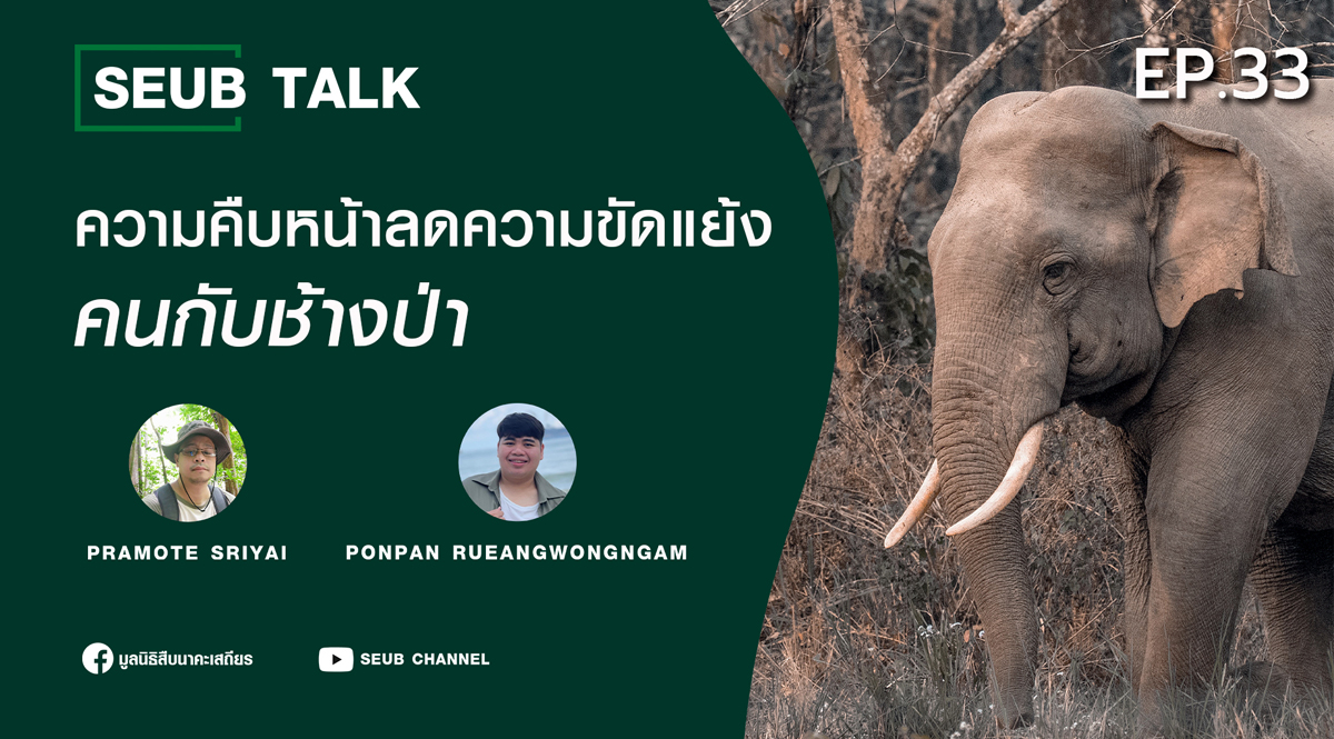 ความคืบหน้าลดความขัดแย้ง คนกับช้างป่า l SEUB TALK EP.33