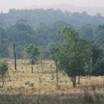 ประกาศแล้ว! ผืนป่าอนุรักษ์แห่งใหม่ของประเทศไทย ‘เขตห้ามล่าสัตว์ป่าห้วยทับเสลา-ห้วยระบำ’