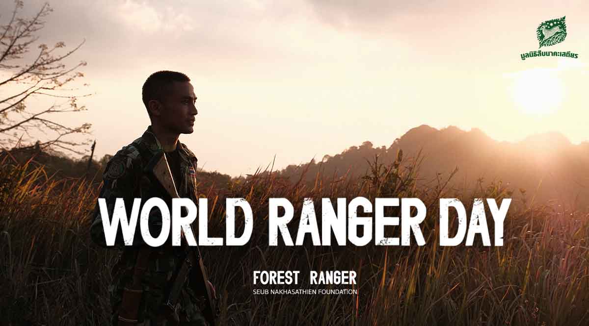 World Ranger Day : EP.1 เส้นทางความก้าวหน้าในวิชาชีพผู้พิทักษ์ป่าเป็นสิ่งที่ไม่ควรถูกละเลย   