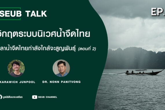 วิกฤตระบบนิเวศน้ำจืดไทย ปลาน้ำจืดไทยกำลังใกล้จะสูญพันธุ์ (ตอนที่ 2) l SEUB TALK EP.35