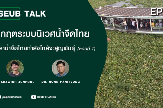 วิกฤตระบบนิเวศน้ำจืดไทย ปลาน้ำจืดไทยกำลังใกล้จะสูญพันธุ์ (ตอนที่ 1) l SEUB TALK EP.34