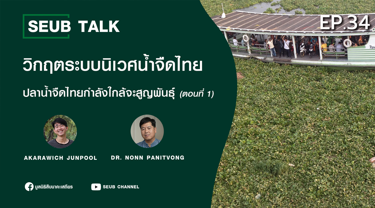 วิกฤตระบบนิเวศน้ำจืดไทย ปลาน้ำจืดไทยกำลังใกล้จะสูญพันธุ์ (ตอนที่ 1) l SEUB TALK EP.34