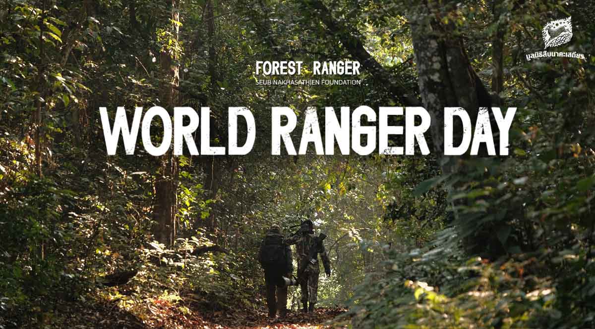 World Ranger Day : EP.3 ความหวัง ในการมีชีวิตอยู่ของเหล่าสัตว์ป่า