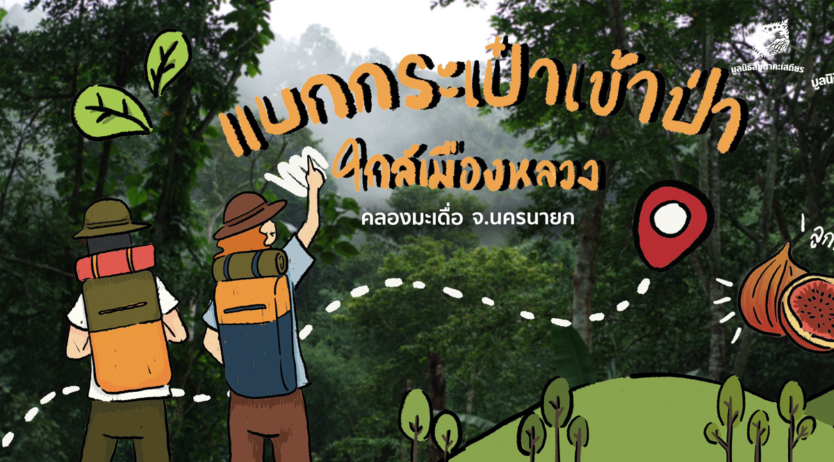 แบกกระเป๋าเข้าป่าใกล้เมืองหลวง | ป่าคลองมะเดื่อ จ.นครนายก 