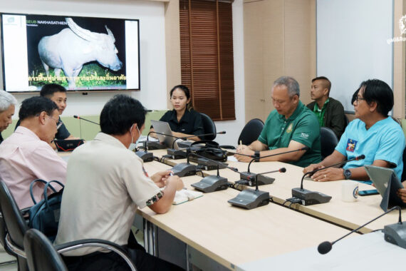 หารือแนวทางการฟื้นฟูประชากร ‘ควายป่า’ และถิ่นอาศัยในประเทศไทย