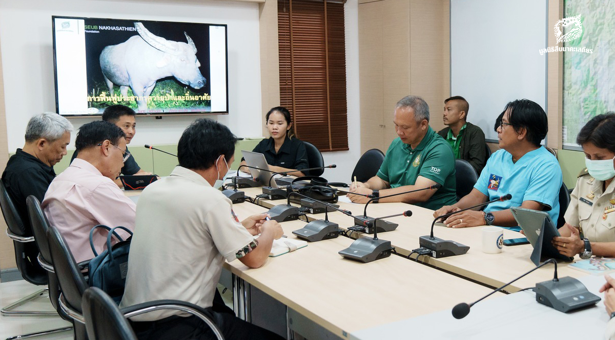 หารือแนวทางการฟื้นฟูประชากร ‘ควายป่า’ และถิ่นอาศัยในประเทศไทย