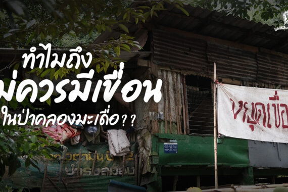 [PHOTO] ทำไมถึงไม่ควรมีเขื่อนในป่าคลองมะเดื่อ?