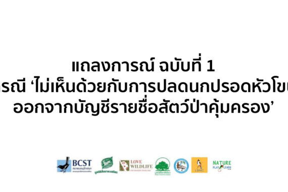 แถลงการณ์ฉบับที่ 1 กรณี ‘ไม่เห็นด้วยกับการปลดนกปรอดหัวโขนออกจากบัญชีรายชื่อสัตว์ป่าคุ้มครอง’