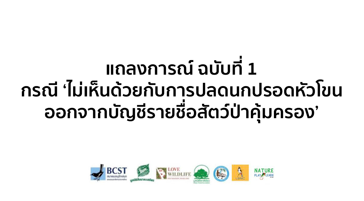 แถลงการณ์ฉบับที่ 1 กรณี ‘ไม่เห็นด้วยกับการปลดนกปรอดหัวโขนออกจากบัญชีรายชื่อสัตว์ป่าคุ้มครอง’