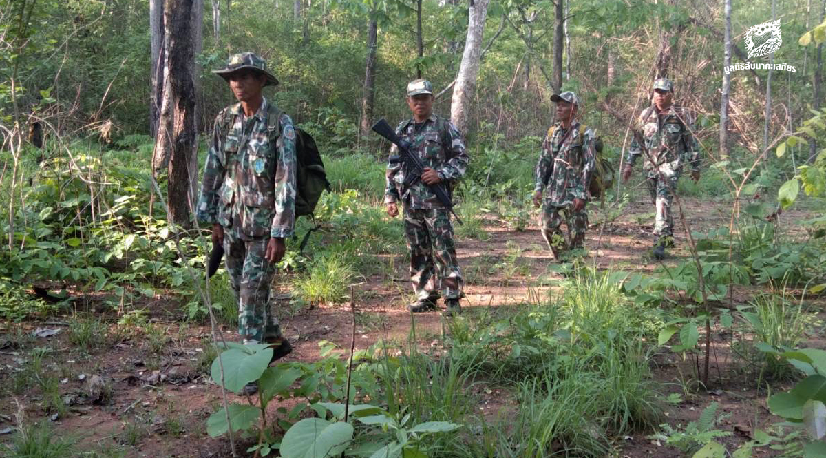 งานลาดตระเวนบนสะพานระบบนิเวศ บทพิสูจน์ความสำเร็จโครงการเชื่อมผืนป่า