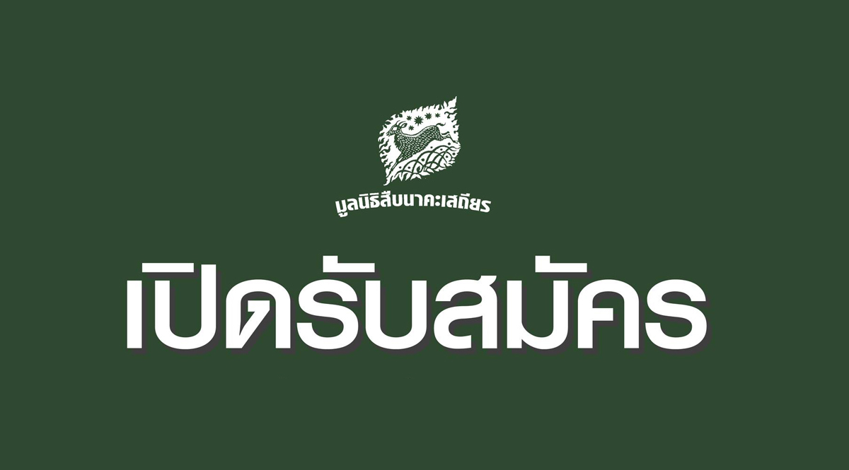 ปิดรับสมัคร เจ้าหน้าที่ฝ่ายสื่อสารองค์กร (ตำแหน่ง: นักเขียน) 1 ตำแหน่ง