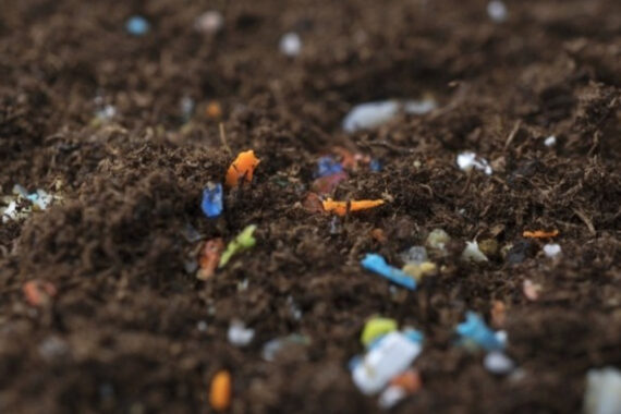 ‘ดินพลาสติก’ เมื่อการเกษตกรรมปนเปื้อนไปด้วย ‘ไมโครพลาสติก’