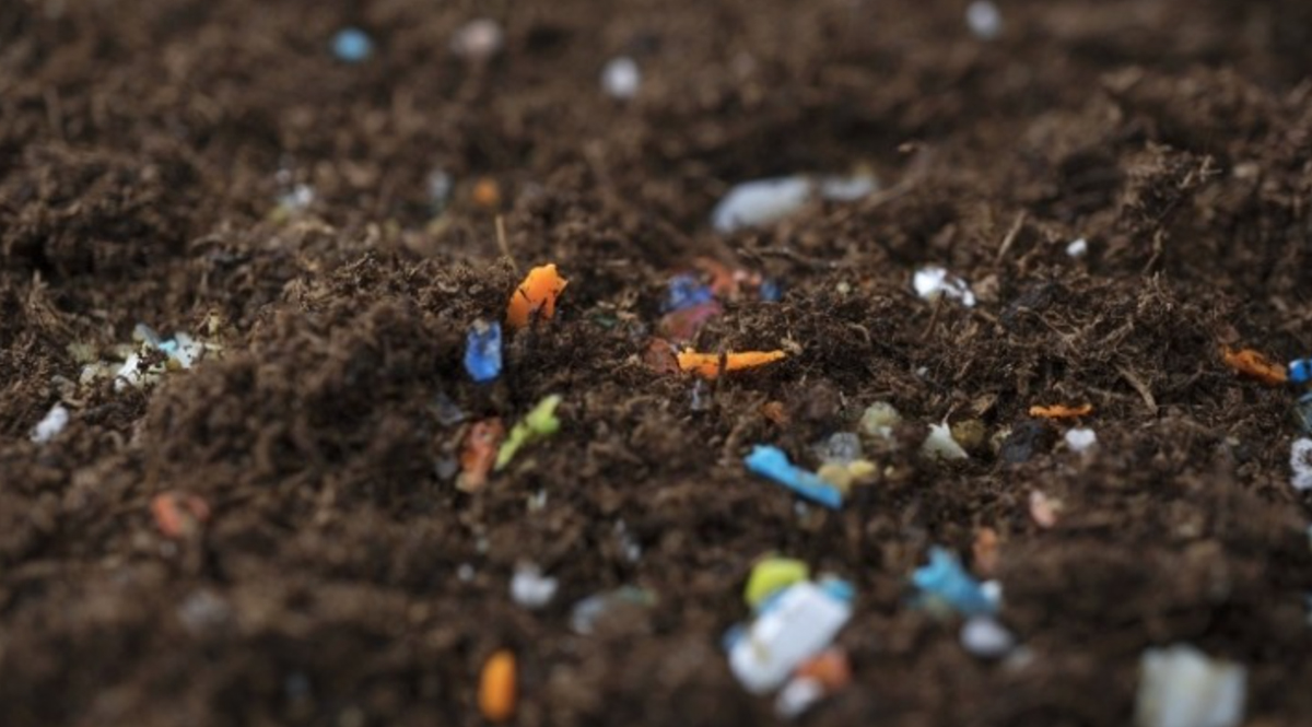 ‘ดินพลาสติก’ เมื่อการเกษตกรรมปนเปื้อนไปด้วย ‘ไมโครพลาสติก’