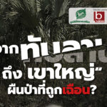 เสวนา จากทับลานถึงเขาใหญ่ ผืนป่าที่ถูกเฉือน ?