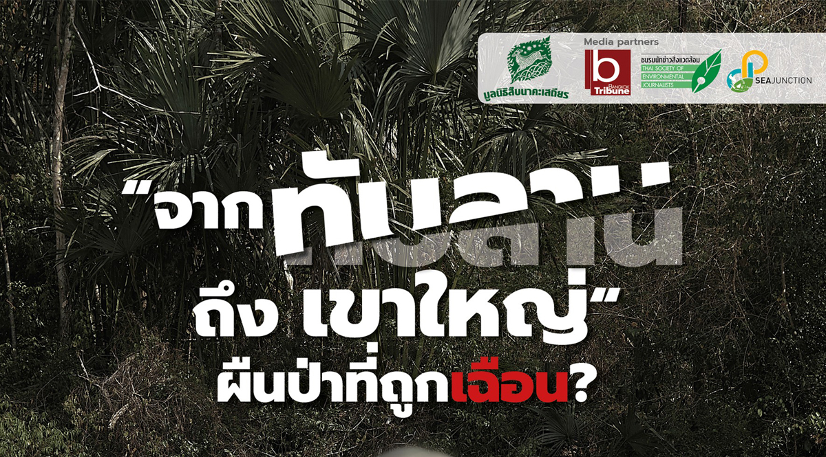 เสวนา จากทับลานถึงเขาใหญ่ ผืนป่าที่ถูกเฉือน ?