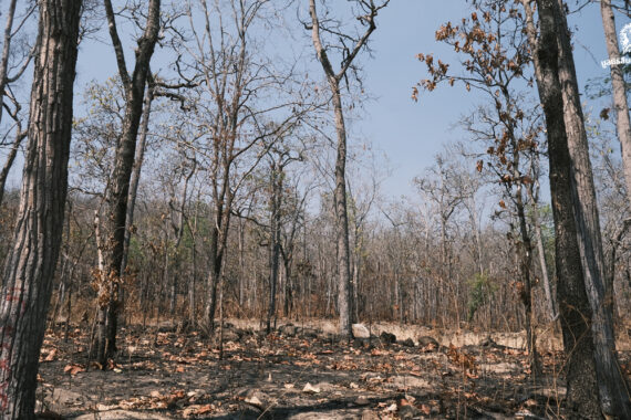 สำรวจพื้นที่ก่อสร้างบ้านพักเจ้าหน้าที่พิทักษ์ป่า ประจำเขตห้ามล่าสัตว์ป่าศรีสวัสดิ์ 