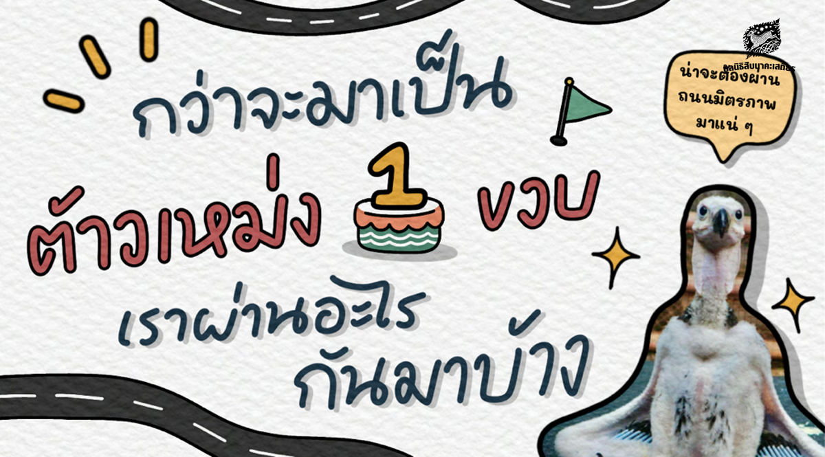 กว่าจะมาเป็น ‘ต้าวเหม่ง’ 1 ขวบ เราผ่านอะไรกันมาบ้าง?