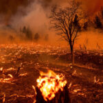 สาเหตุและผลกระทบของการเกิดไฟป่า