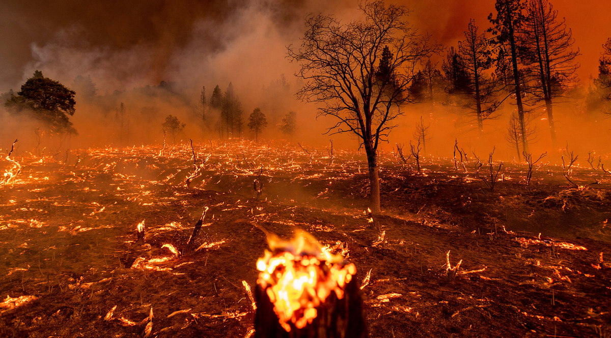 สาเหตุและผลกระทบของการเกิดไฟป่า