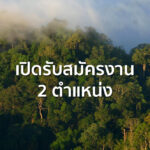 เปิดรับสมัครงาน 2 ตำแหน่ง 