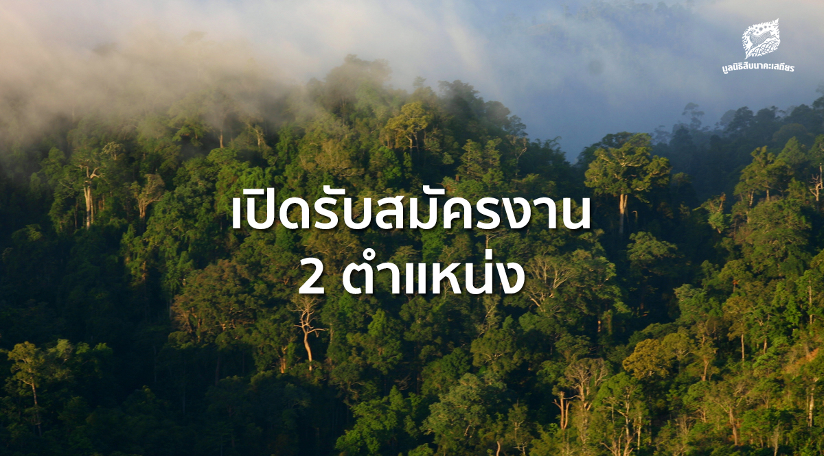 ปิดรับสมัครงาน 2 ตำแหน่ง 