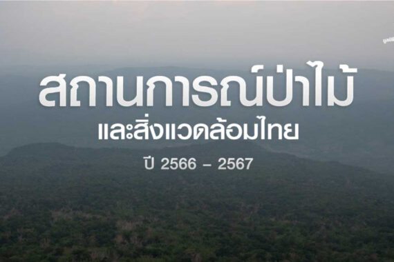สถานการณ์ป่าไม้และสิ่งแวดล้อมไทย ปี 2566 – 2567