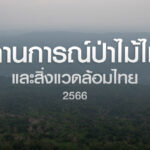 สถานการณ์ป่าไม้และสิ่งแวดล้อมไทย 2566