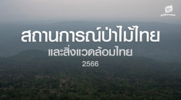 สถานการณ์ป่าไม้และสิ่งแวดล้อมไทย 2566