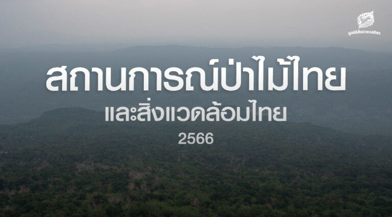 สถานการณ์ป่าไม้และสิ่งแวดล้อมไทย 2566