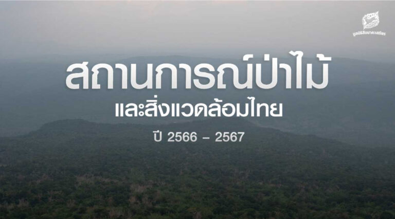สถานการณ์ป่าไม้และสิ่งแวดล้อมไทย ปี 2566 – 2567