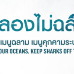 องค์กรไวล์ดเอดเผยผลสำรวจพบ คนเมืองกินหูฉลามลดลงราว 34% 